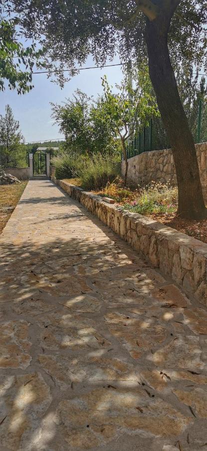 شقة Park Pridraga المظهر الخارجي الصورة