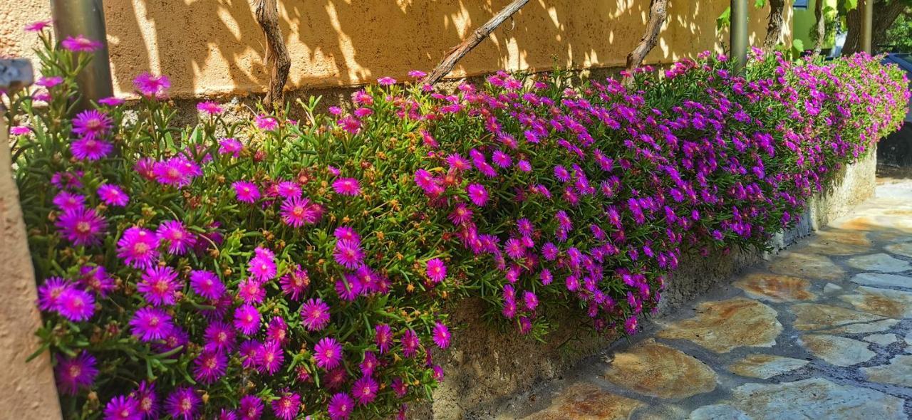 شقة Park Pridraga المظهر الخارجي الصورة