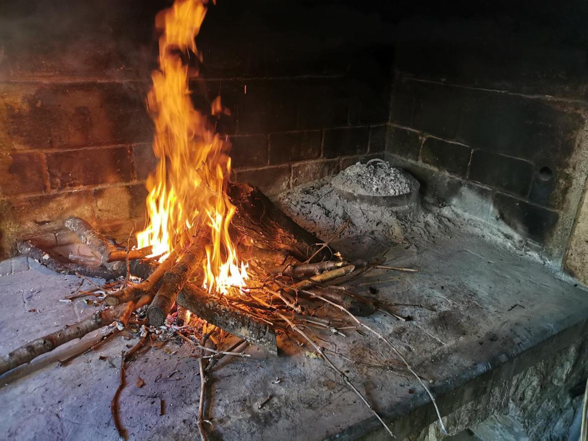 شقة Park Pridraga المظهر الخارجي الصورة